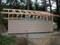new shed - day 12